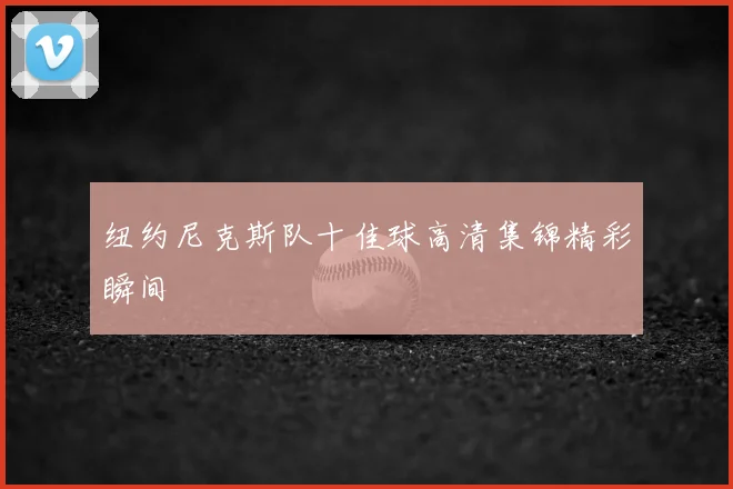 纽约尼克斯队十佳球高清集锦精彩瞬间